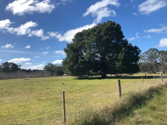 Fourth view of Homely rural property listing, Lot 1 Pahl Street, Apsley VIC 3319