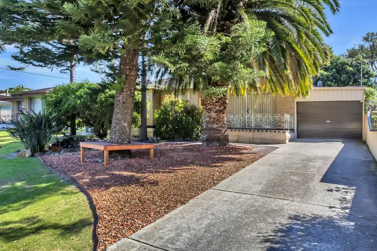 37 Knowles Street, Balcatta WA 6021