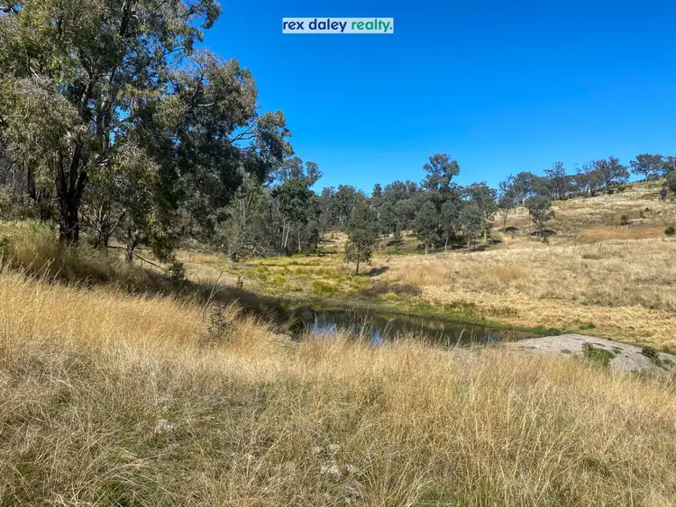 Second view of Homely rural property listing, 229 Bundarra Road, Barraba NSW 2347
