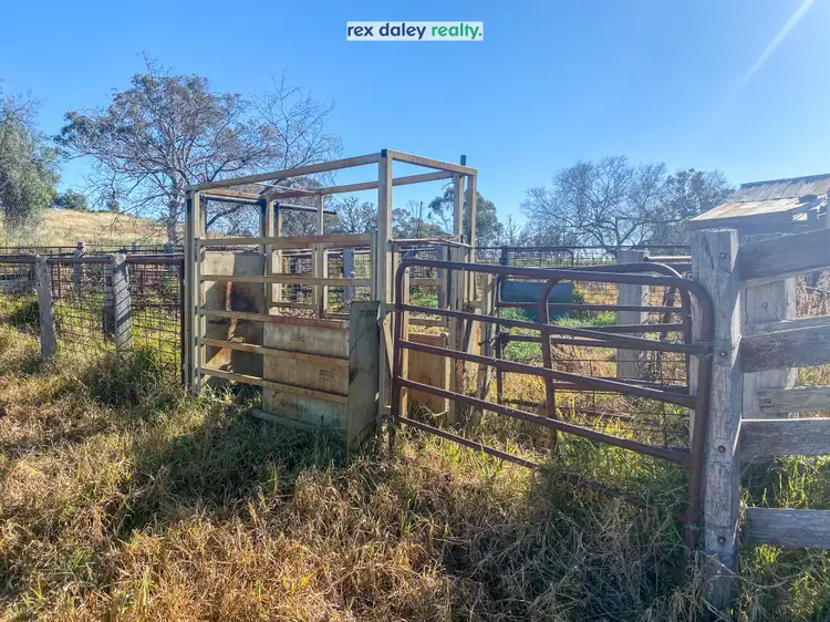 Fourth view of Homely rural property listing, 229 Bundarra Road, Barraba NSW 2347
