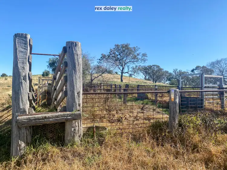 Fifth view of Homely rural property listing, 229 Bundarra Road, Barraba NSW 2347