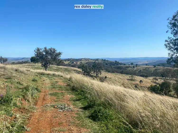 Seventh view of Homely rural property listing, 229 Bundarra Road, Barraba NSW 2347