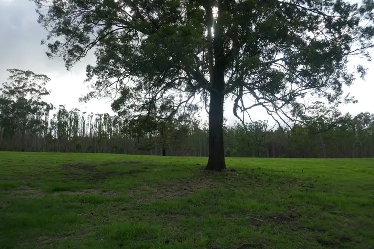 Fifth view of Homely rural property listing, 100 Hilderbrands Road, Kyogle NSW 2474