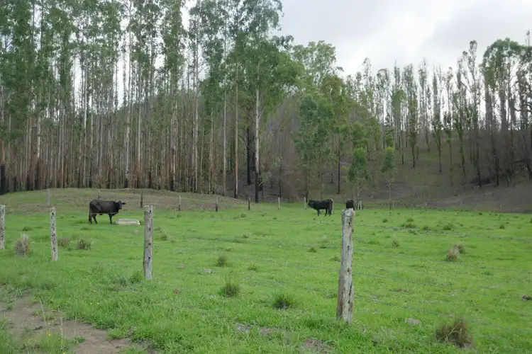 Seventh view of Homely rural property listing, 100 Hilderbrands Road, Kyogle NSW 2474