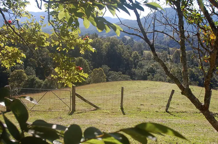 Second view of Homely house listing, 102 Apple Tree Glen, Burrapine NSW 2447