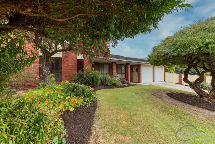 Main view of Homely house listing, 1 Vervain Way, Riverton WA 6148