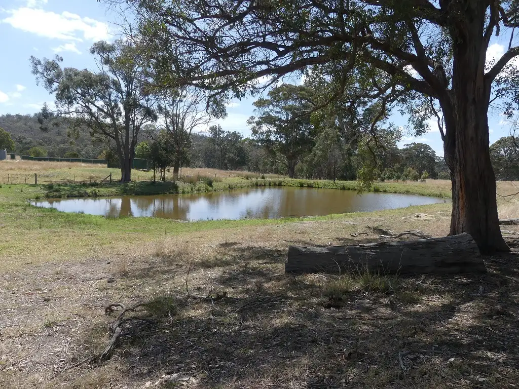 Main view of Homely rural property listing, 207 Tunnel Rd, Dalveen QLD 4374