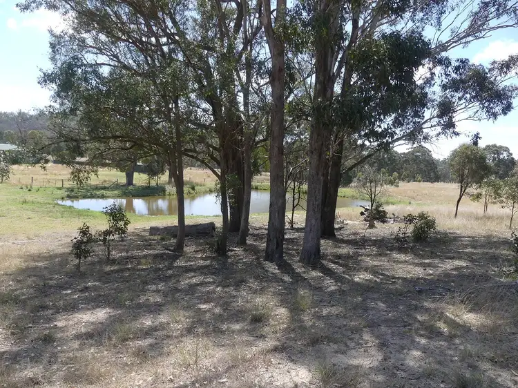 Fourth view of Homely rural property listing, 207 Tunnel Rd, Dalveen QLD 4374
