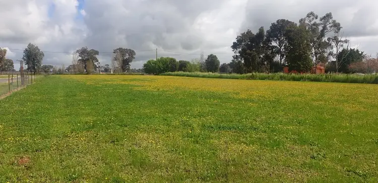 Lot 13 Melville Street, Culcairn NSW 2660