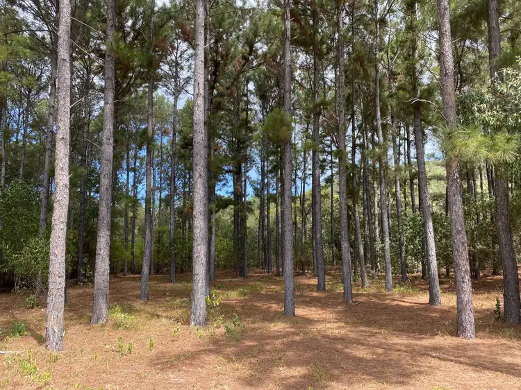 Main view of Homely land listing, 18 Wallaby Way, Horseshoe Bay QLD 4819