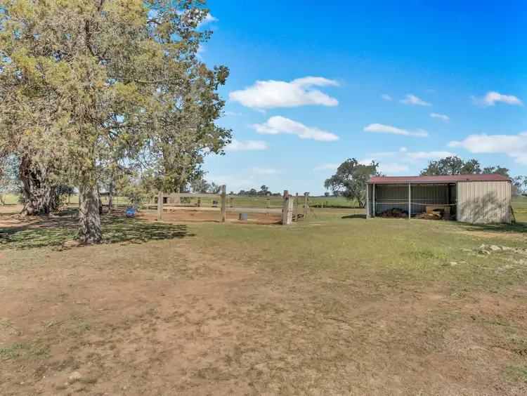 Fifth view of Homely rural property listing, 3899 Urana Rd, Burrumbuttock NSW 2642