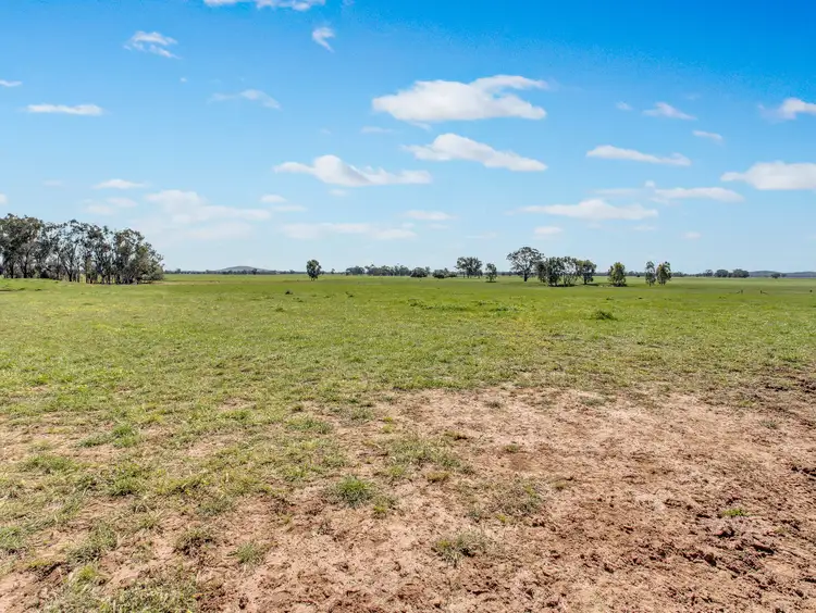 Sixth view of Homely rural property listing, 3899 Urana Rd, Burrumbuttock NSW 2642
