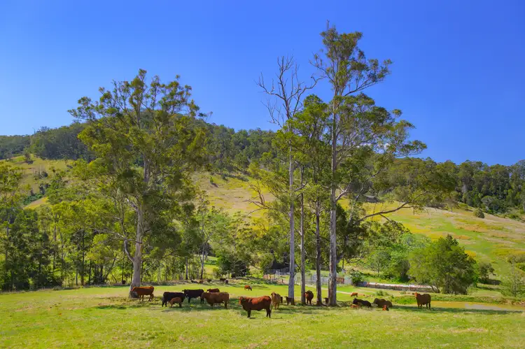 Second view of Homely rural property listing, 51 Cowangarra Rd, Byabarra NSW 2446