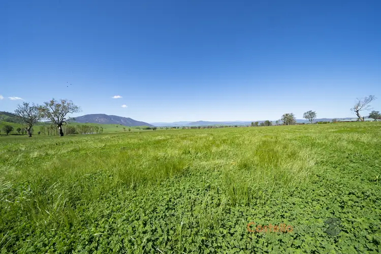 Main view of Homely rural property listing, 111 Back Cudgewa Road, Cudgewa VIC 3705