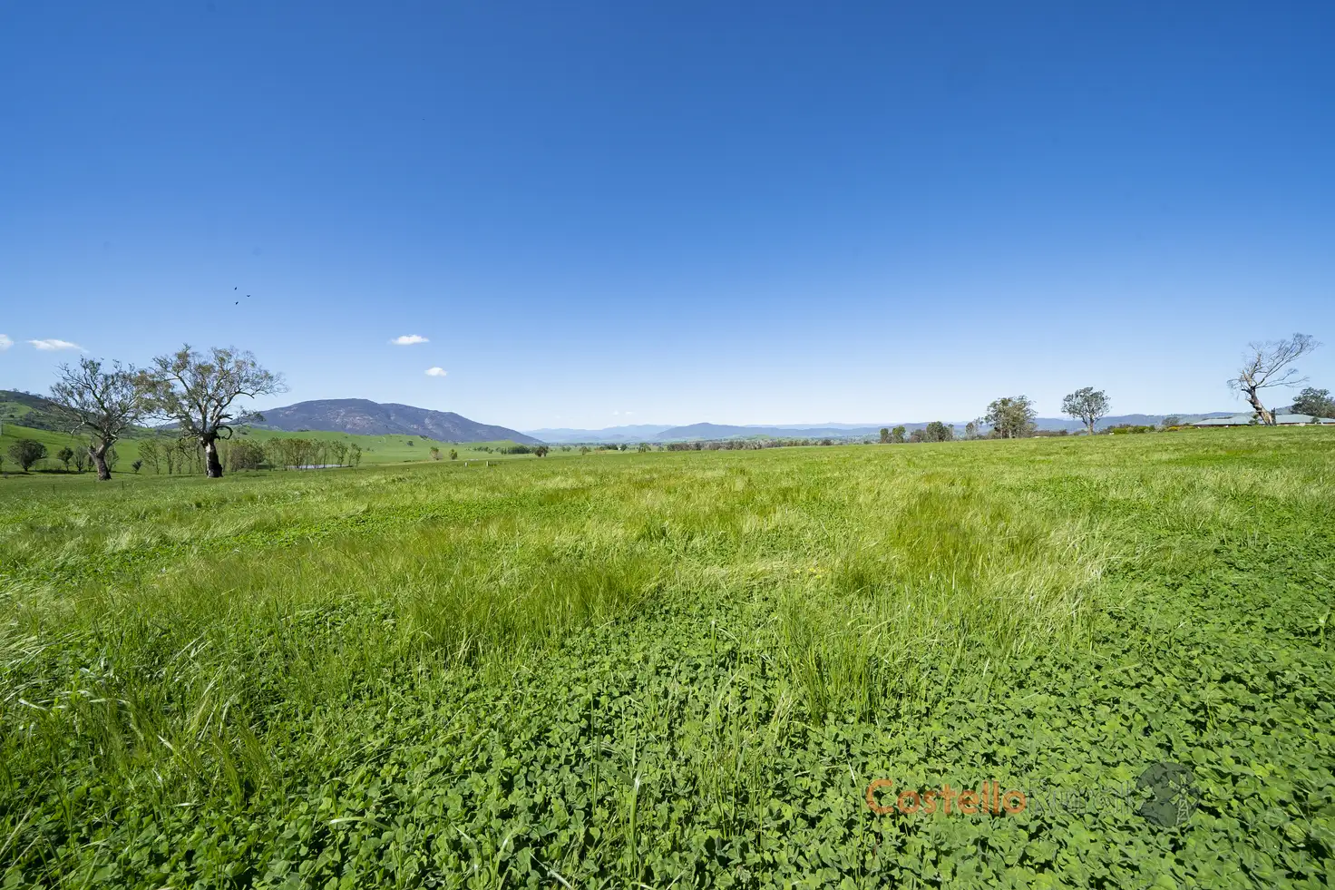 Main view of Homely rural property listing, 111 Back Cudgewa Road, Cudgewa VIC 3705