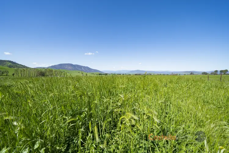 Second view of Homely rural property listing, 111 Back Cudgewa Road, Cudgewa VIC 3705