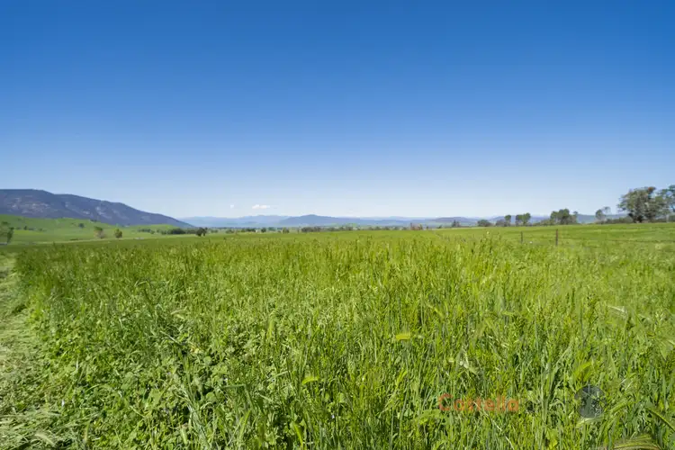 Third view of Homely rural property listing, 111 Back Cudgewa Road, Cudgewa VIC 3705