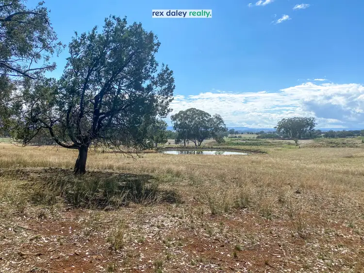 Fifth view of Homely rural property listing, 176 Orchard Place, Inverell NSW 2360