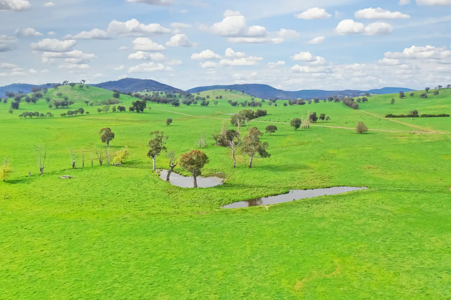 Main view of Homely rural property listing, 'Culbara'/1235 Annandayle Rd, Holbrook NSW 2644