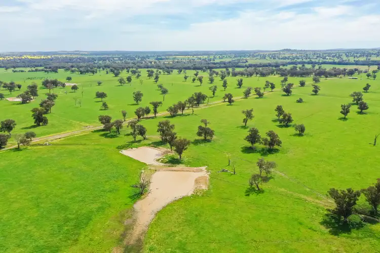 'Arthurs' Taylors Road, Culcairn NSW 2660