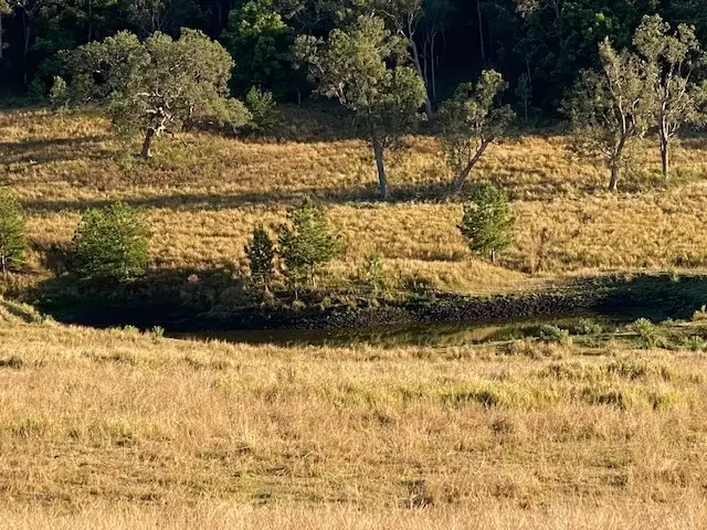 611 Edenville Road, Kyogle NSW 2474