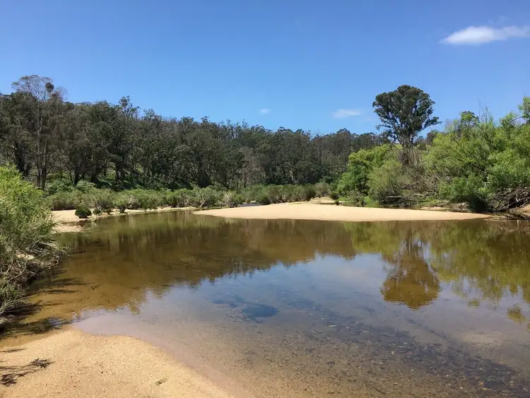 Second view of Homely rural property listing, 2131 The Snake Trk, Towamba NSW 2550