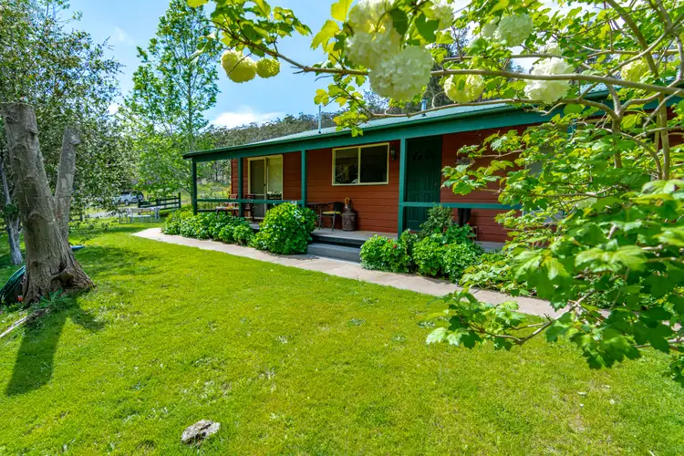 Fourth view of Homely rural property listing, 2131 The Snake Trk, Towamba NSW 2550