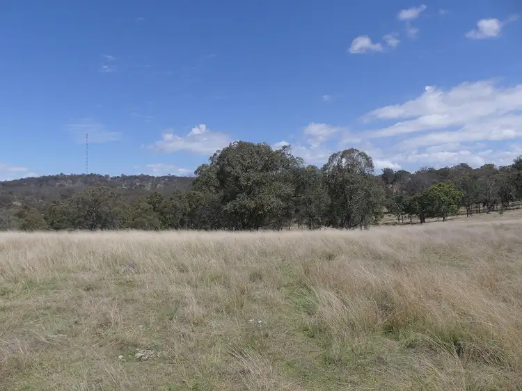 Fifth view of Homely rural property listing, Lot 3 Tunnel Rd, Dalveen QLD 4374