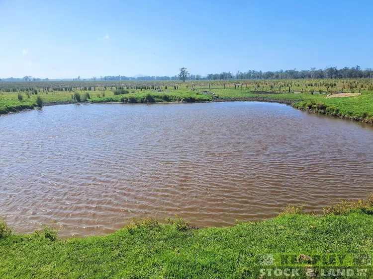 Second view of Homely rural property listing, Lot 99 Gladstone Racecourse Loop Road, Gladstone NSW 2440