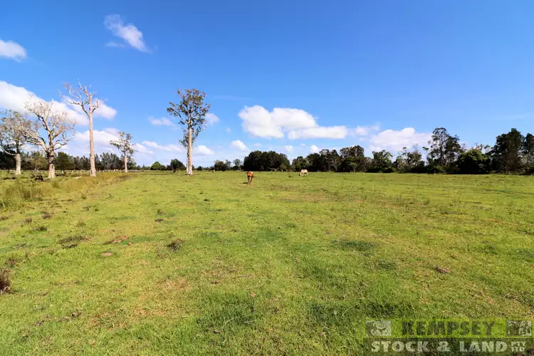 Seventh view of Homely rural property listing, Lot 99 Gladstone Racecourse Loop Road, Gladstone NSW 2440