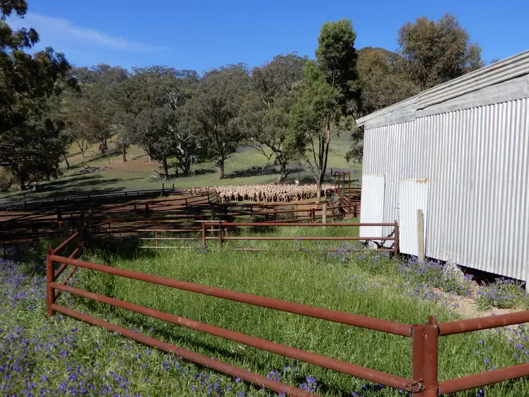 Seventh view of Homely rural property listing, Address available on request