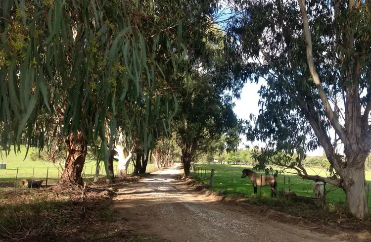 Third view of Homely rural property listing, 320 Breakfast Creek Rd, Rylstone NSW 2849