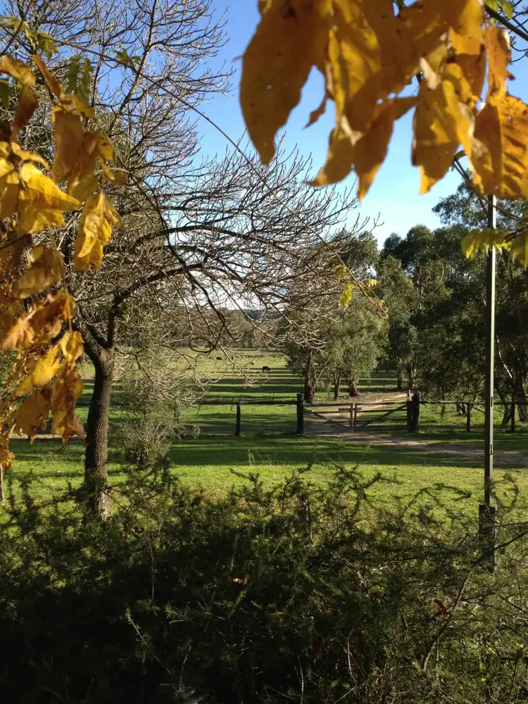 Fourth view of Homely rural property listing, 320 Breakfast Creek Rd, Rylstone NSW 2849