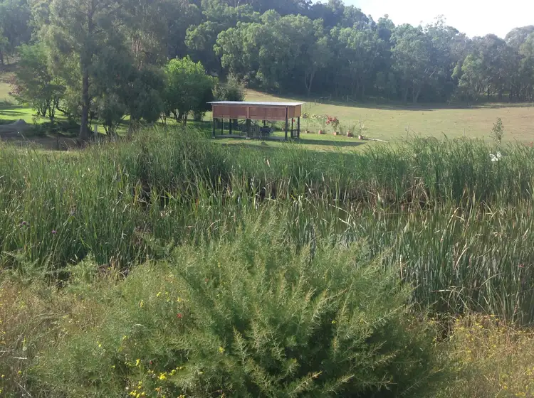 Sixth view of Homely rural property listing, 320 Breakfast Creek Rd, Rylstone NSW 2849