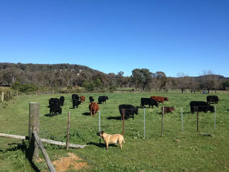 Seventh view of Homely rural property listing, 320 Breakfast Creek Rd, Rylstone NSW 2849