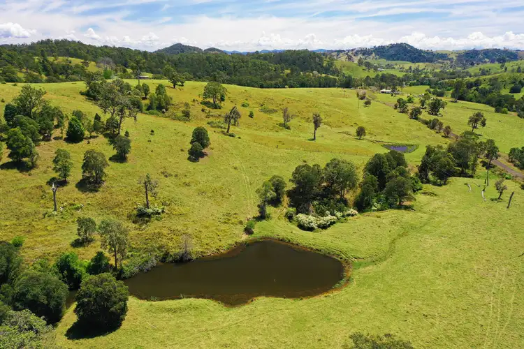 298 Wallanbah Rd, Wallanbah NSW 2422