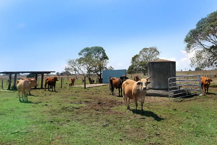 Fifth view of Homely house listing, 141 Back Springfield Rd, Woongarra QLD 4670