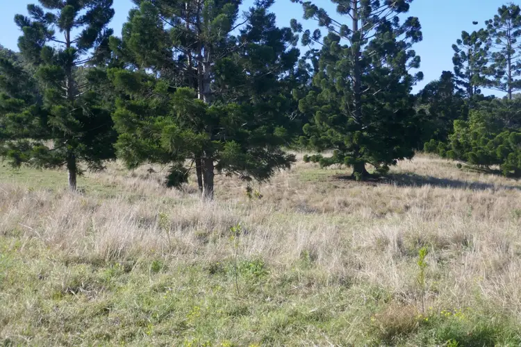 120A Chelmsford Rd, Rock Valley NSW 2480