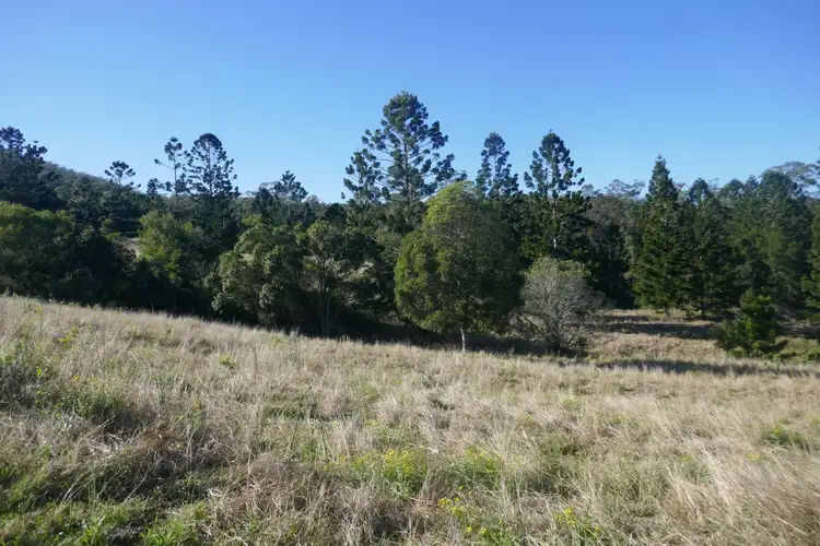 Second view of Homely rural property listing, 120A Chelmsford Rd, Rock Valley NSW 2480