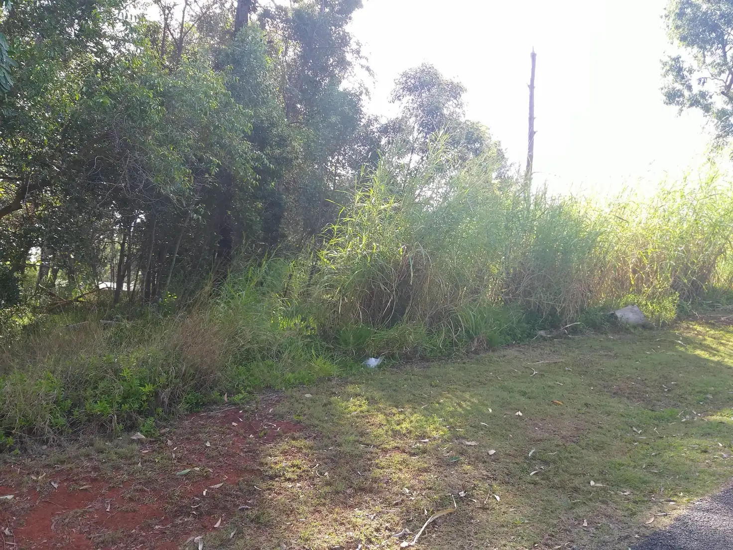 Main view of Homely land listing, 3 Tonga St, Russell Island QLD 4184