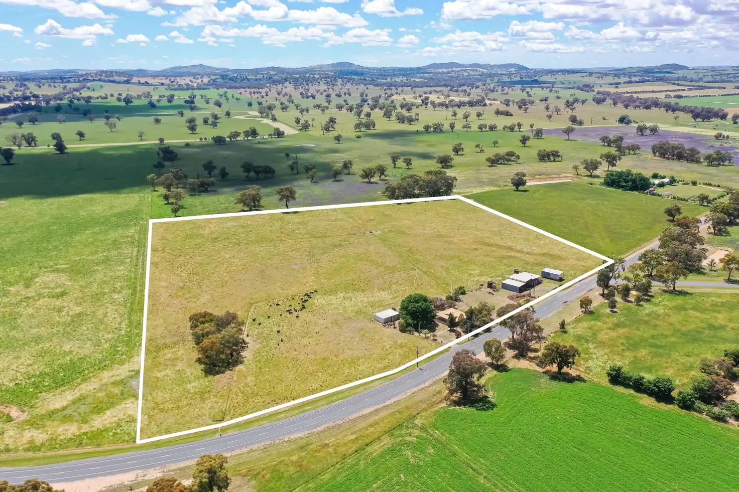 Main view of Homely rural property listing, 'Canowinda'/2128 Culcairn Holbrook Rd, Morven NSW 2660