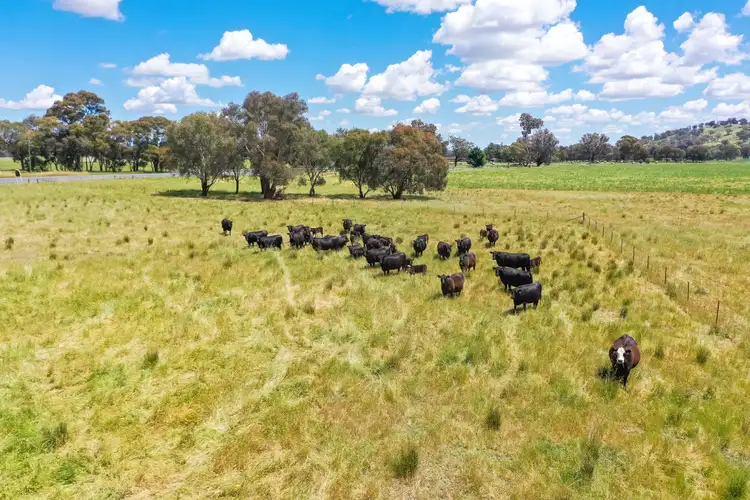 Second view of Homely rural property listing, 'Canowinda'/2128 Culcairn Holbrook Rd, Morven NSW 2660