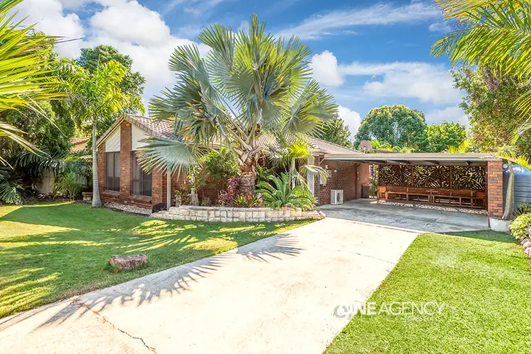 Main view of Homely house listing, 33 Brushtail Cres, Doolandella QLD 4077