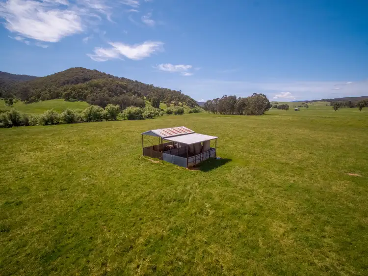 Seventh view of Homely rural property listing, Lot 5 & 8, TPS 31051 Tallangatta Creek Road, Tallangatta Valley VIC 3701