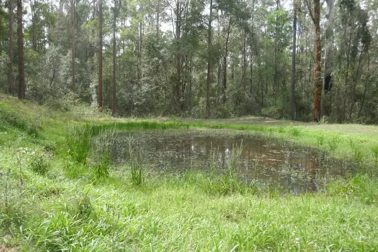 Fourth view of Homely rural property listing, Lot 30 Dam Access Road, Kyogle NSW 2474