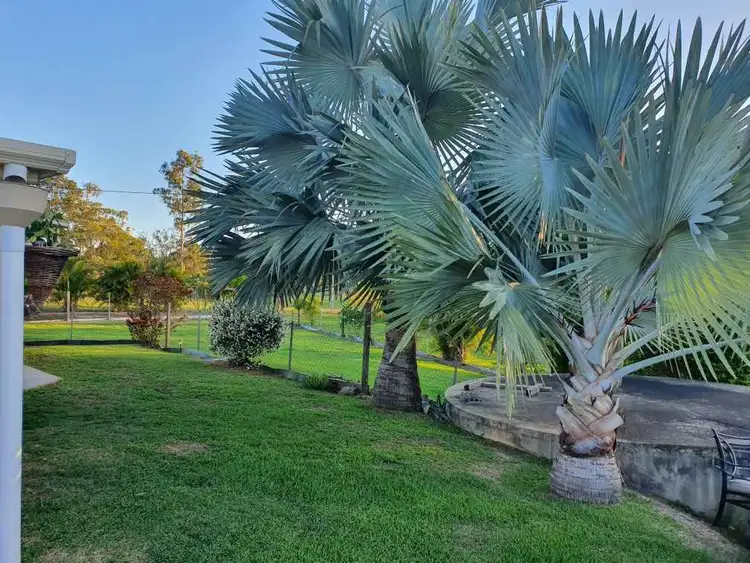 Fifth view of Homely house listing, 51 Lorikeet Dr, Tamaree QLD 4570