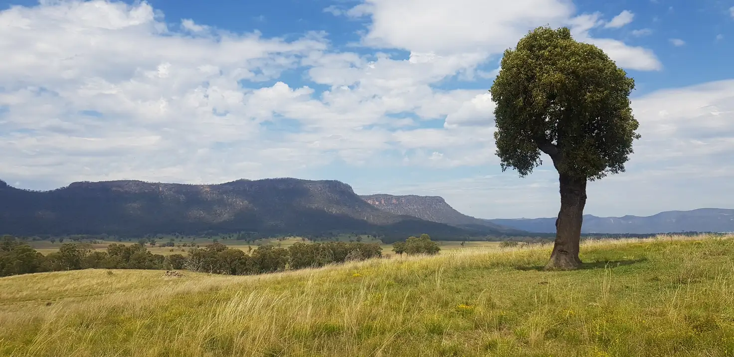 Main view of Homely rural property listing, 3022 Glen Alice Rd, Rylstone NSW 2849