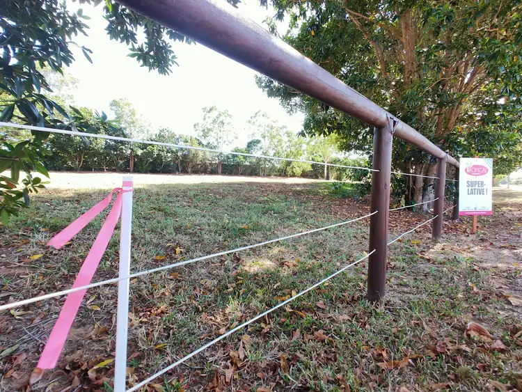 Main view of Homely land listing, Lot 6 Conch Street, Mission Beach QLD 4852