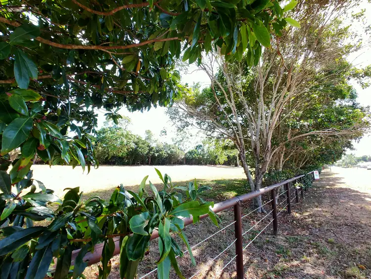 Fourth view of Homely land listing, Lot 6 Conch Street, Mission Beach QLD 4852