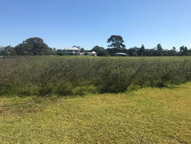 Seventh view of Homely rural property listing, 37 Godfreys Ave, Bli Bli QLD 4560
